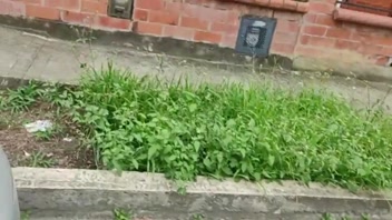 Mystery Mall Babe Catches Me Spying, Invites Wild Home Fun!