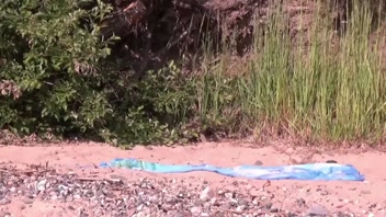 Secret Cam: Steamy MILF Beach Encounter