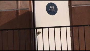 Busty Brunette Alia Janine Craves Glory Hole Action!