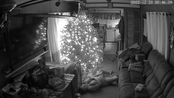 Unwrap a Naughty Surprise Under the Christmas Tree!