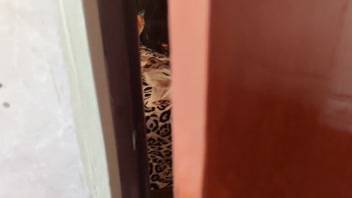 Secretly Watching Her Unnoticed (Pt. 1)