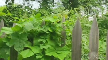 Caught Masturbating, Neighbor Spies & Fucks My Ass!